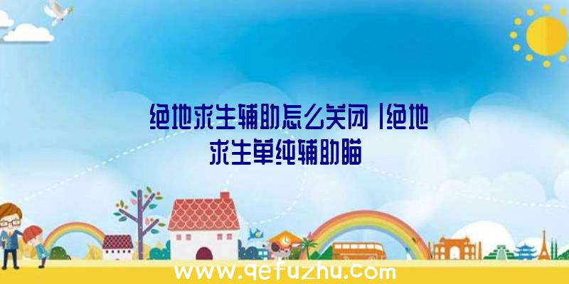 「绝地求生辅助怎么关闭」|绝地求生单纯辅助瞄